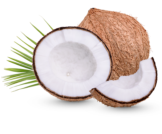 Coconut based activated carbon in Delhi